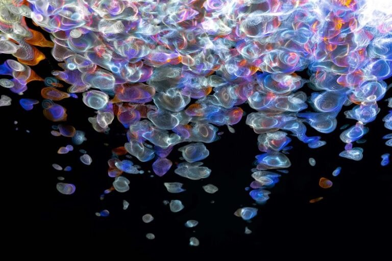 fusion beam digital flow 2130062244